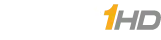 TV network IPTV